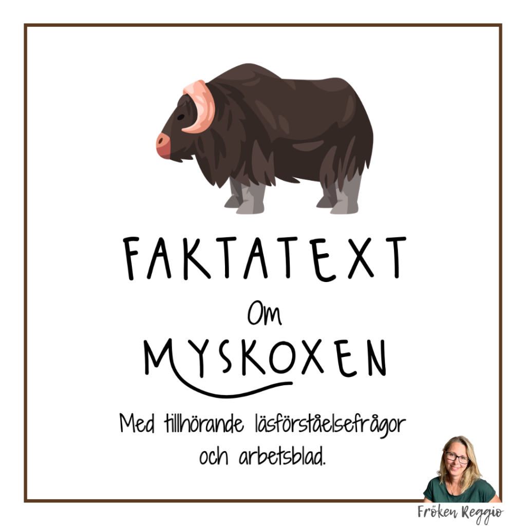 Faktatext om Myskoxen