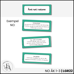 Centrala innehållet åk 1-3 på ett elevnära språk: NO