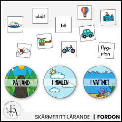 Fordon: Soreteringskort / Memory