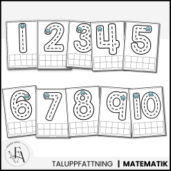 Fordon: Spåra och räkna