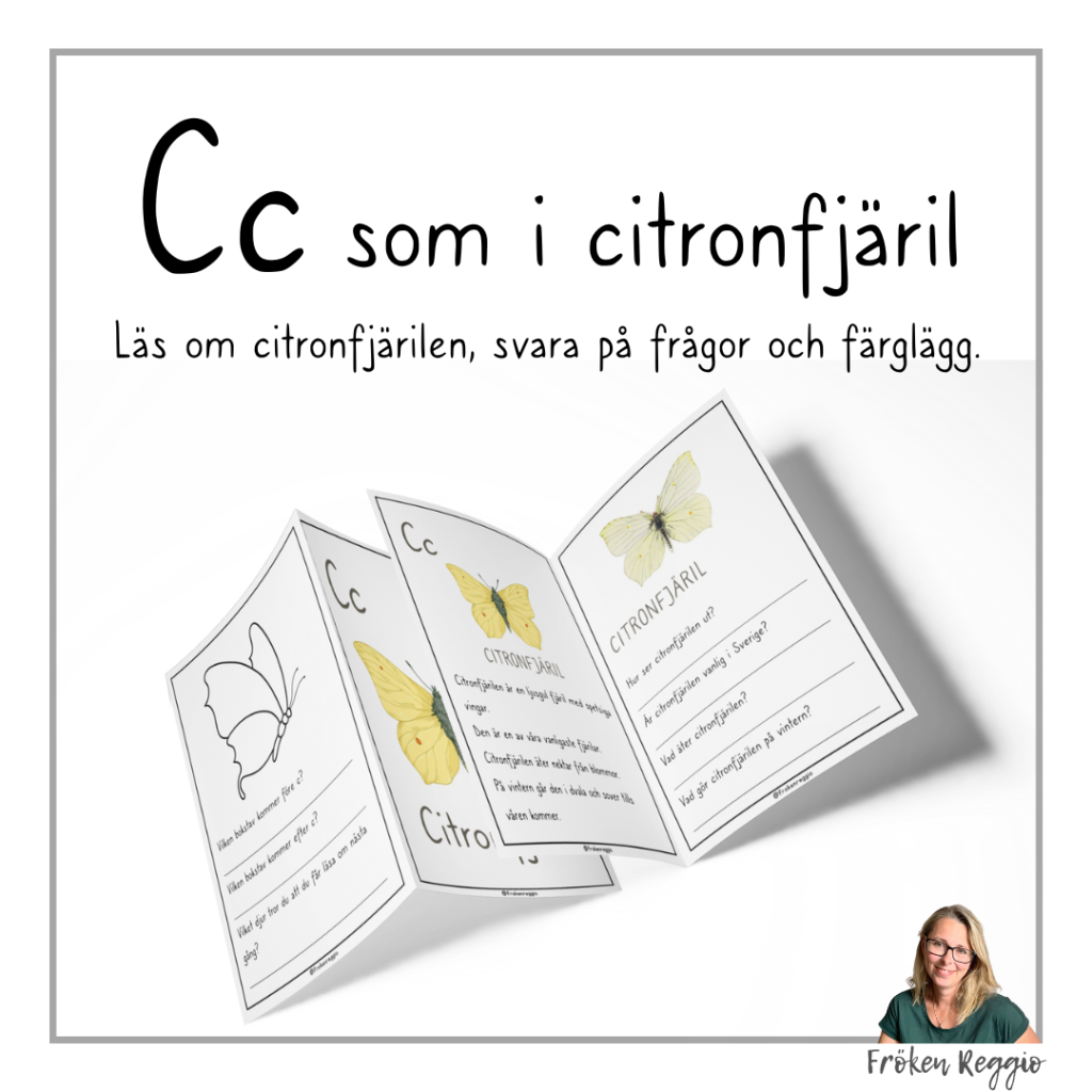 Lär om bokstäver och djur – C