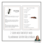 Faktatext om Myran - bild 2