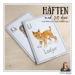 Lär om bokstäver och djur – K - bild 3