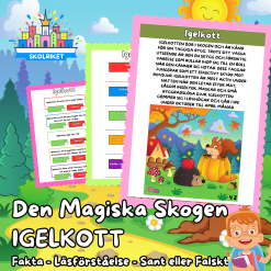 Den magiska skogen – IGELKOTT – Fakta – Läsförståelse – Sant eller Falskt