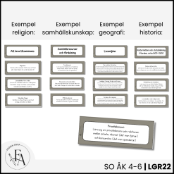 Centrala innehållet åk 4-6 på ett elevnära språk: SO