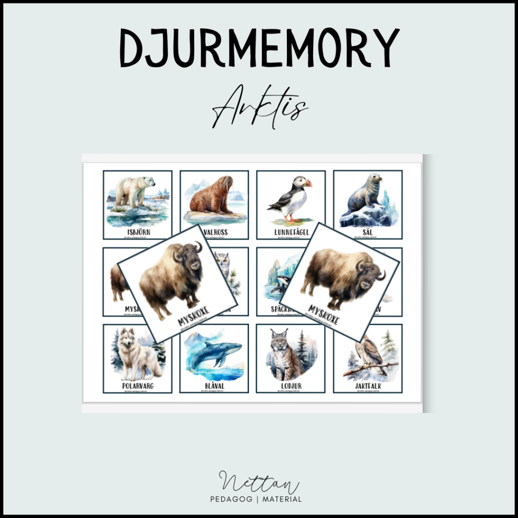Memory – djur i Arktis