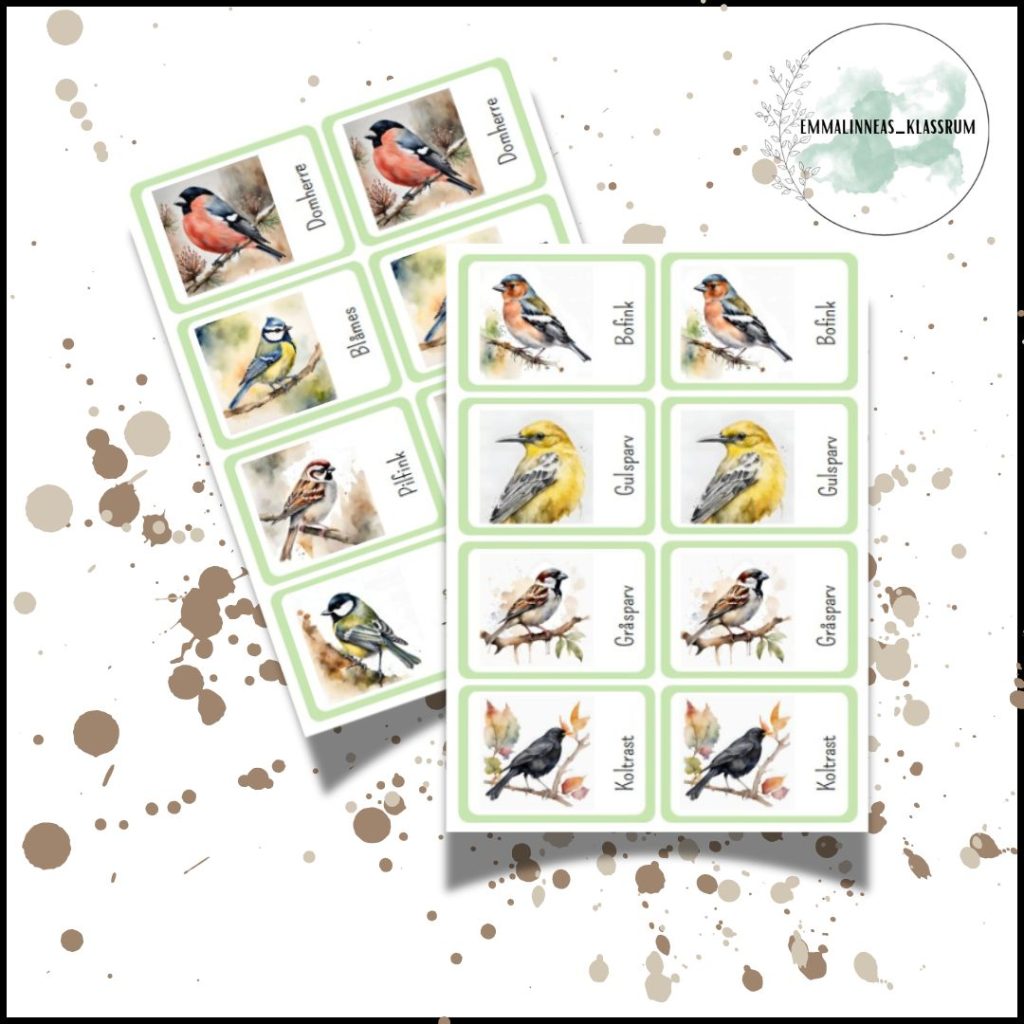 Memory svenska fåglar