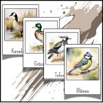 Svenska fåglar - bild 3