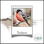 Svenska fåglar - bild 1