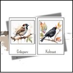 Svenska fåglar - bild 2