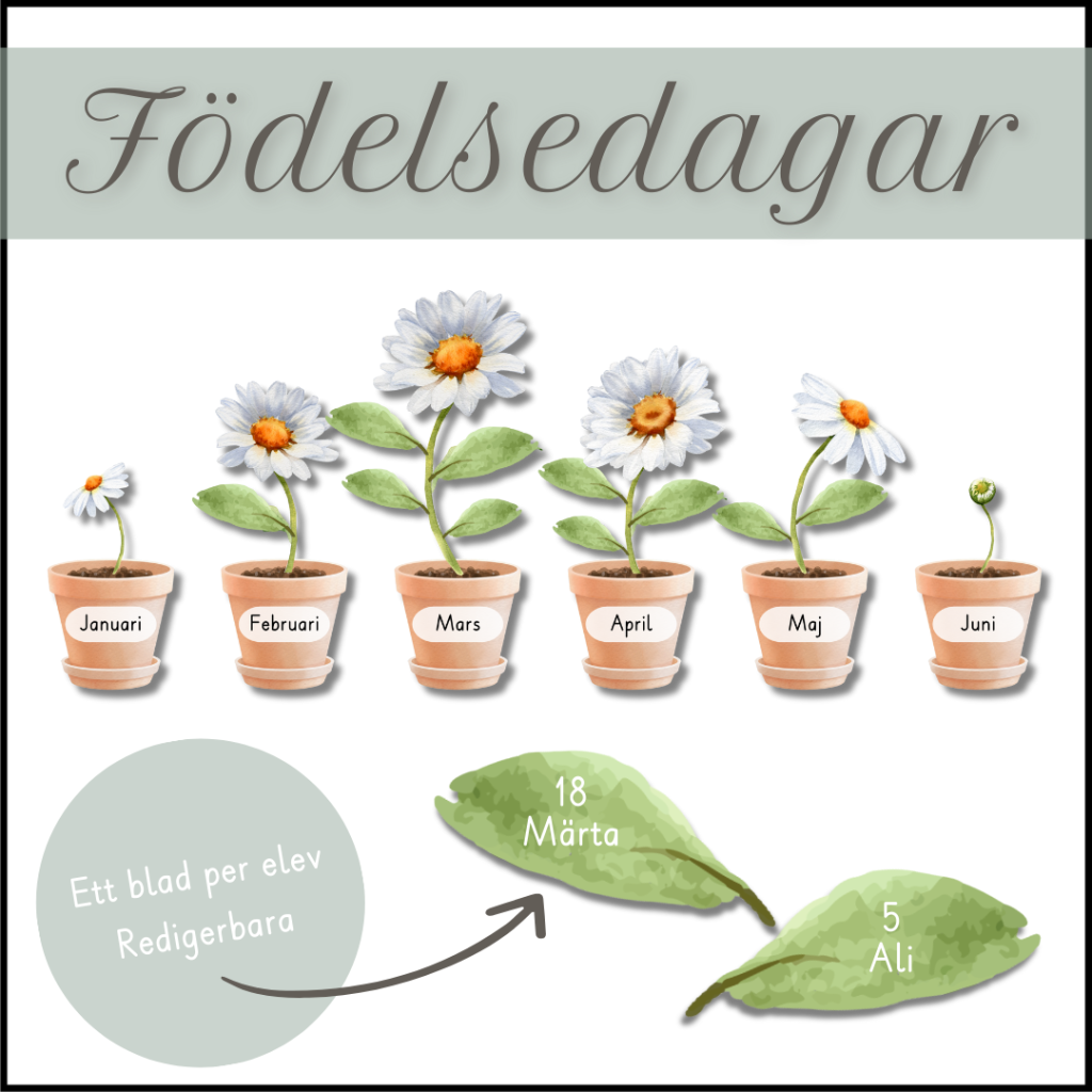 Födelsedagar (månader)