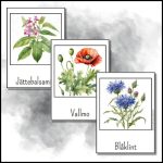 Svenska blommor - bild 3