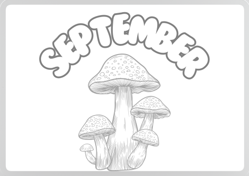 Startuppgift september