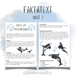 Mitt häfte om späckhuggare - bild 2