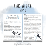 Mitt häfte om späckhuggare - bild 3