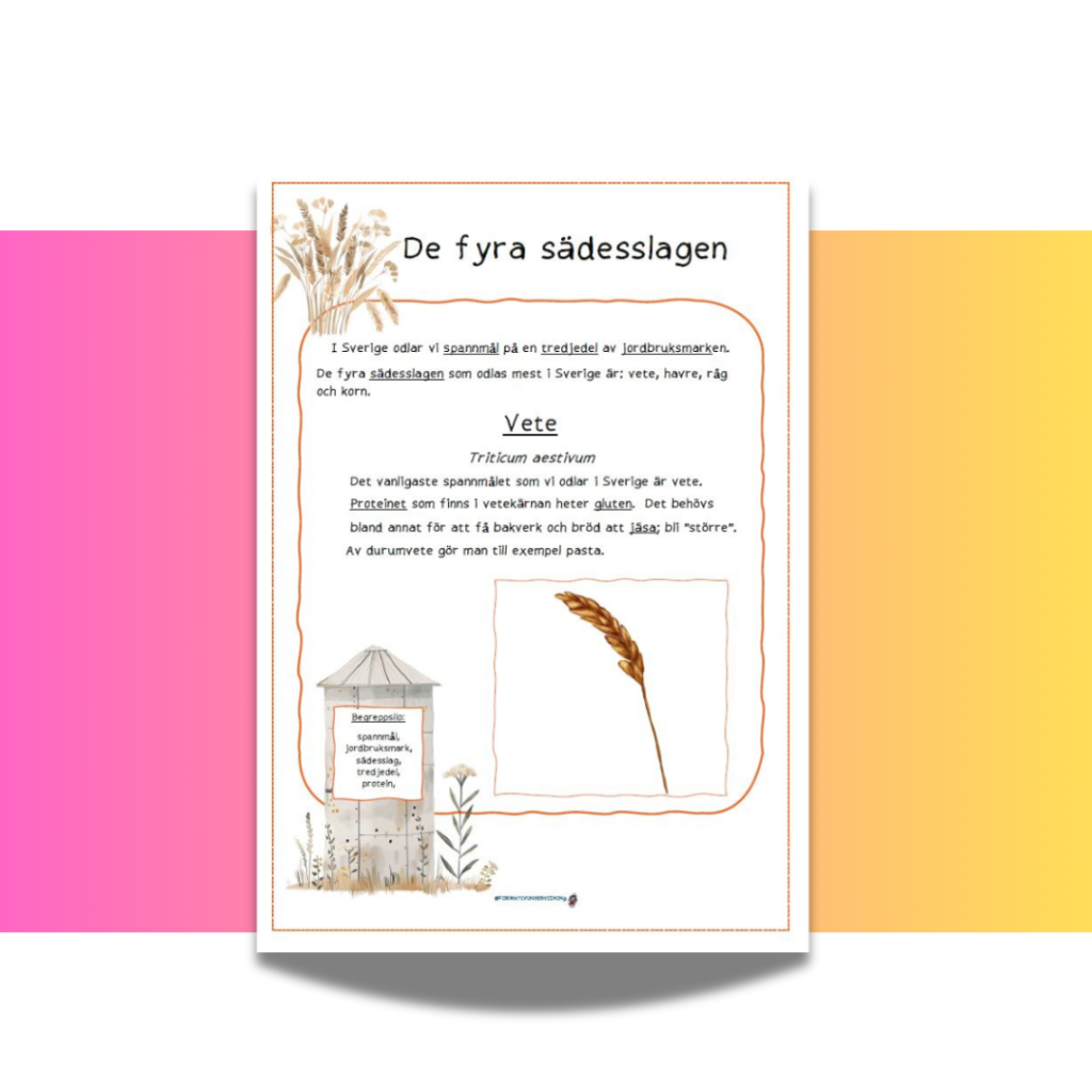 De fyra sädesslagen