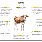 Djuren på gården – Kon - bild 2