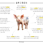 Djuren på gården – Grisen - bild 2