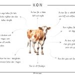 Djuren på gården – Kon - bild 3