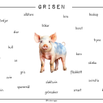 Djuren på gården – Grisen - bild 4