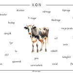 Djuren på gården – Kon - bild 4