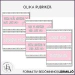 Målskyltar: Synliggör kunskapskraven - bild 3