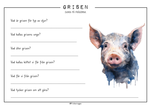 Djuren på gården - Grisen