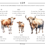 Djuren på gården – Kon - bild 6