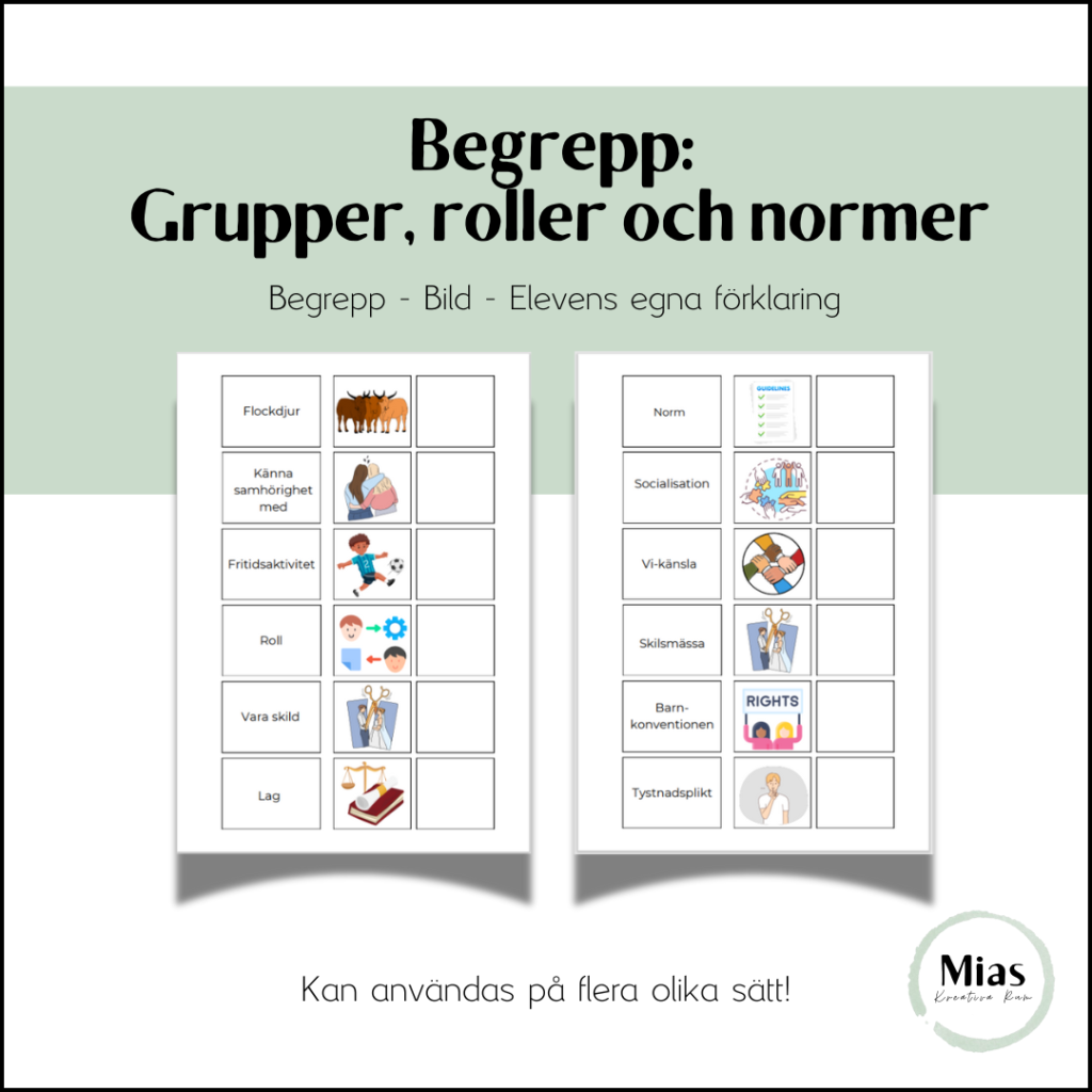 Begrepp: Grupper, roller och normer