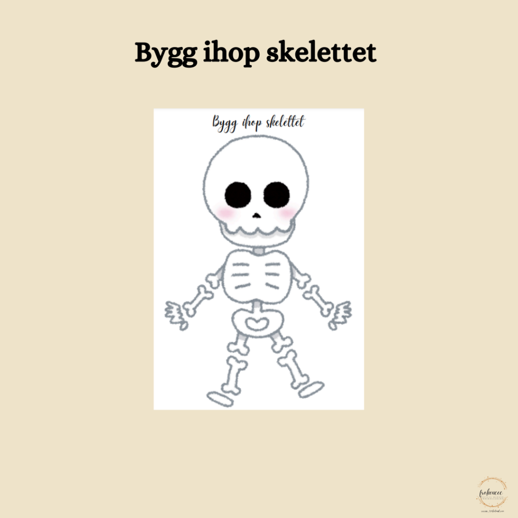 Bygg ihop skelettet
