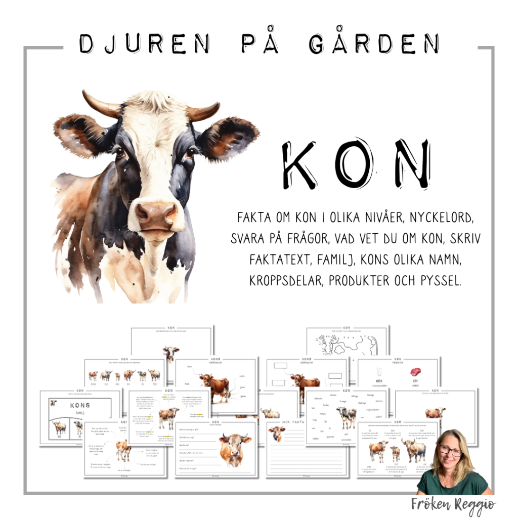 Djuren på gården – Kon