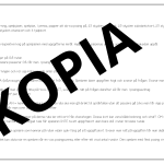 Spelet om ordklasser - bild 2