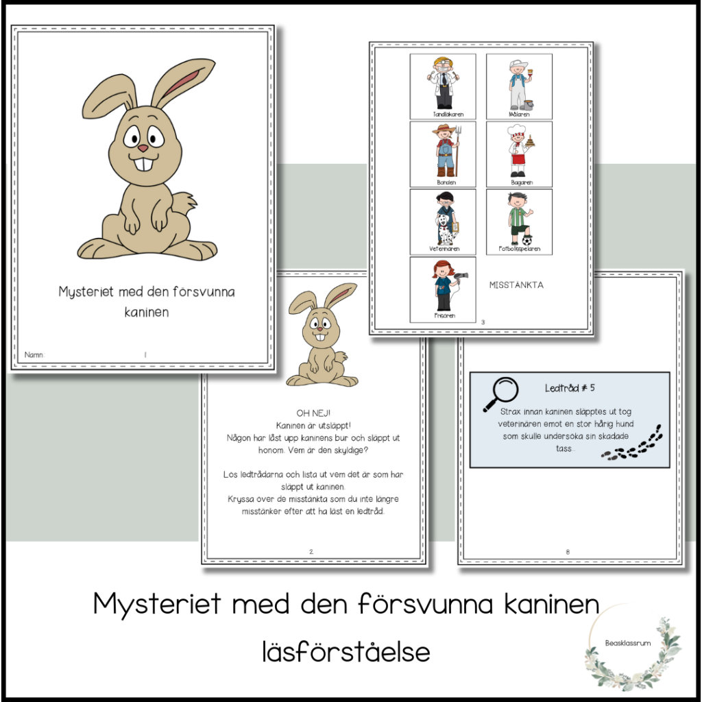 Mysteriet med den försvunna kaninen