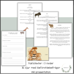 Afrikas djur – 16 faktatexter (3 nivåer) - bild 1