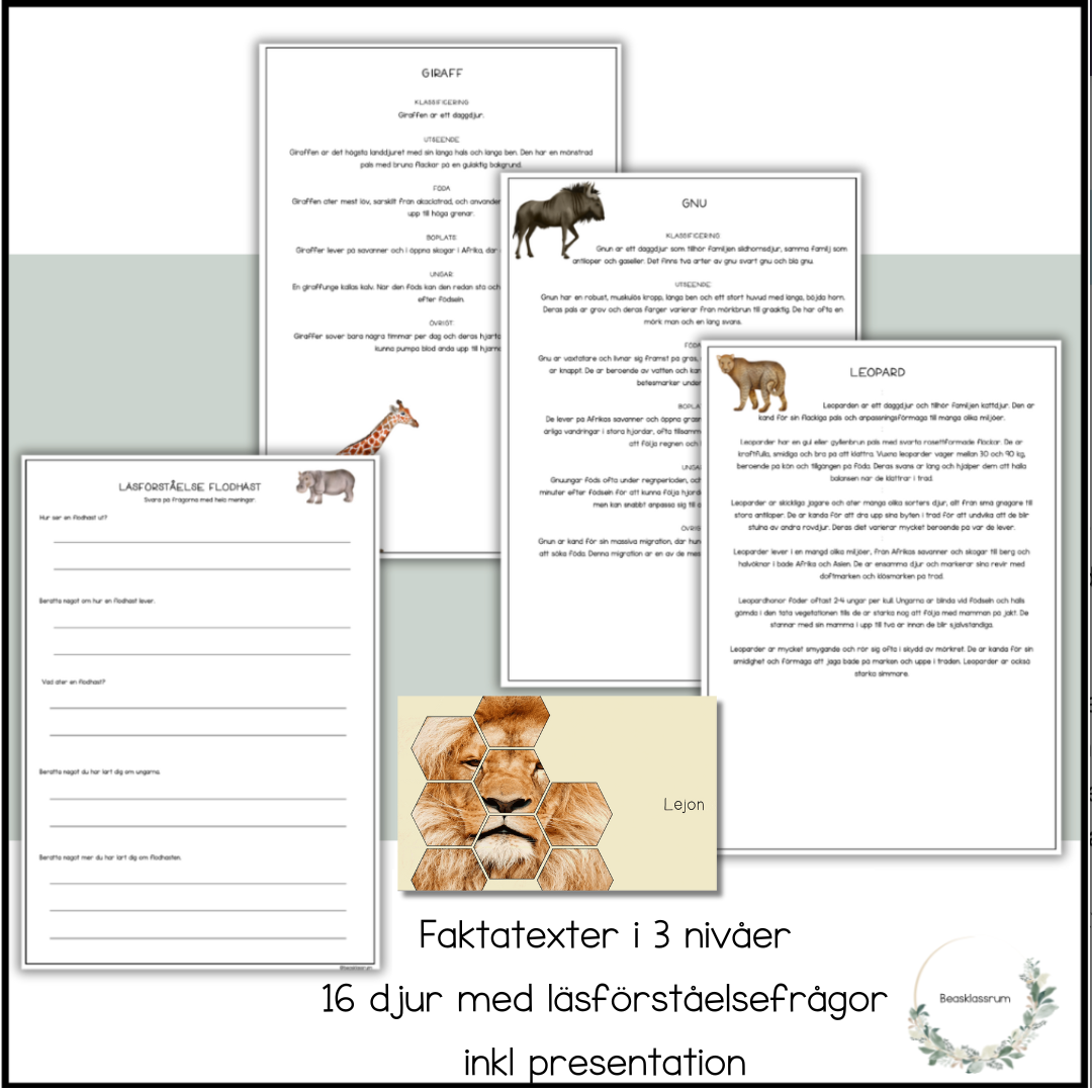Afrikas djur - 16 faktatexter (3 nivåer)