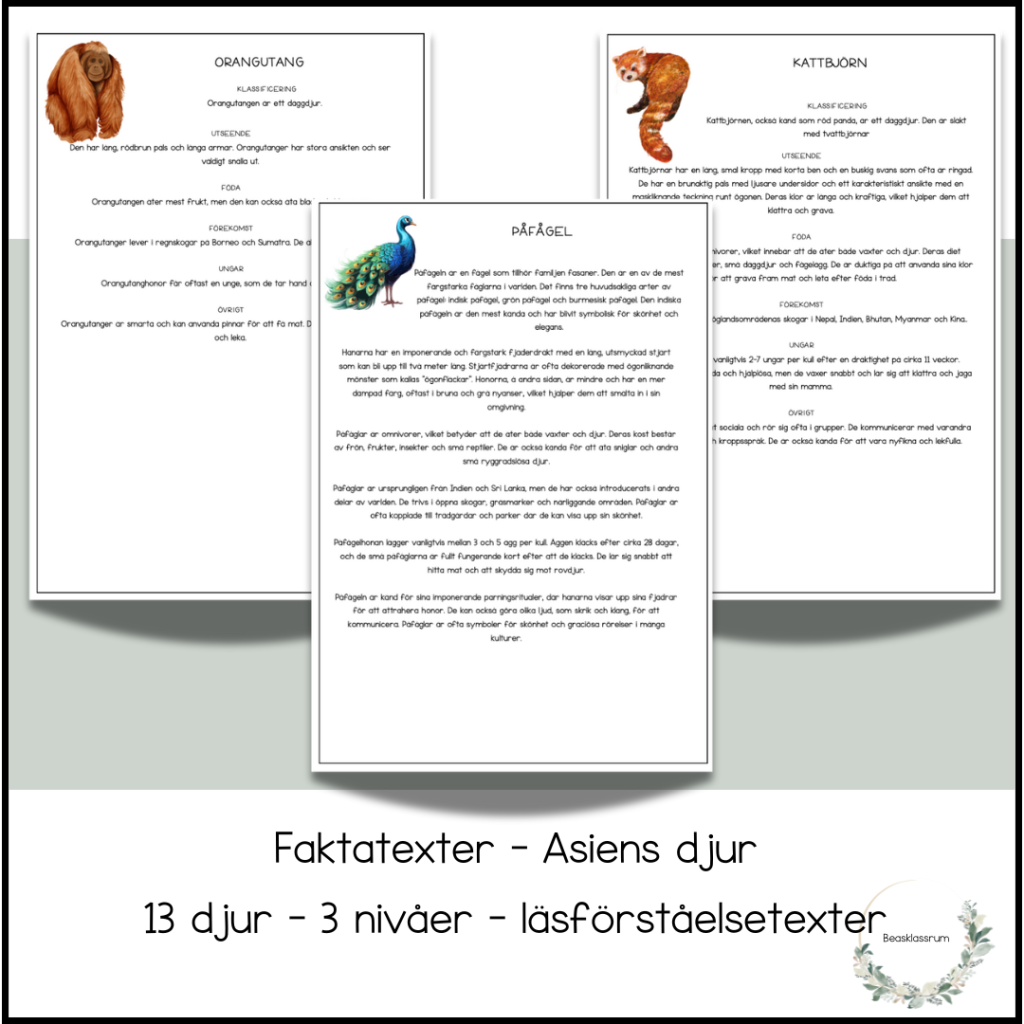 Asiens djur – 13 faktatexter (3 nivåer)
