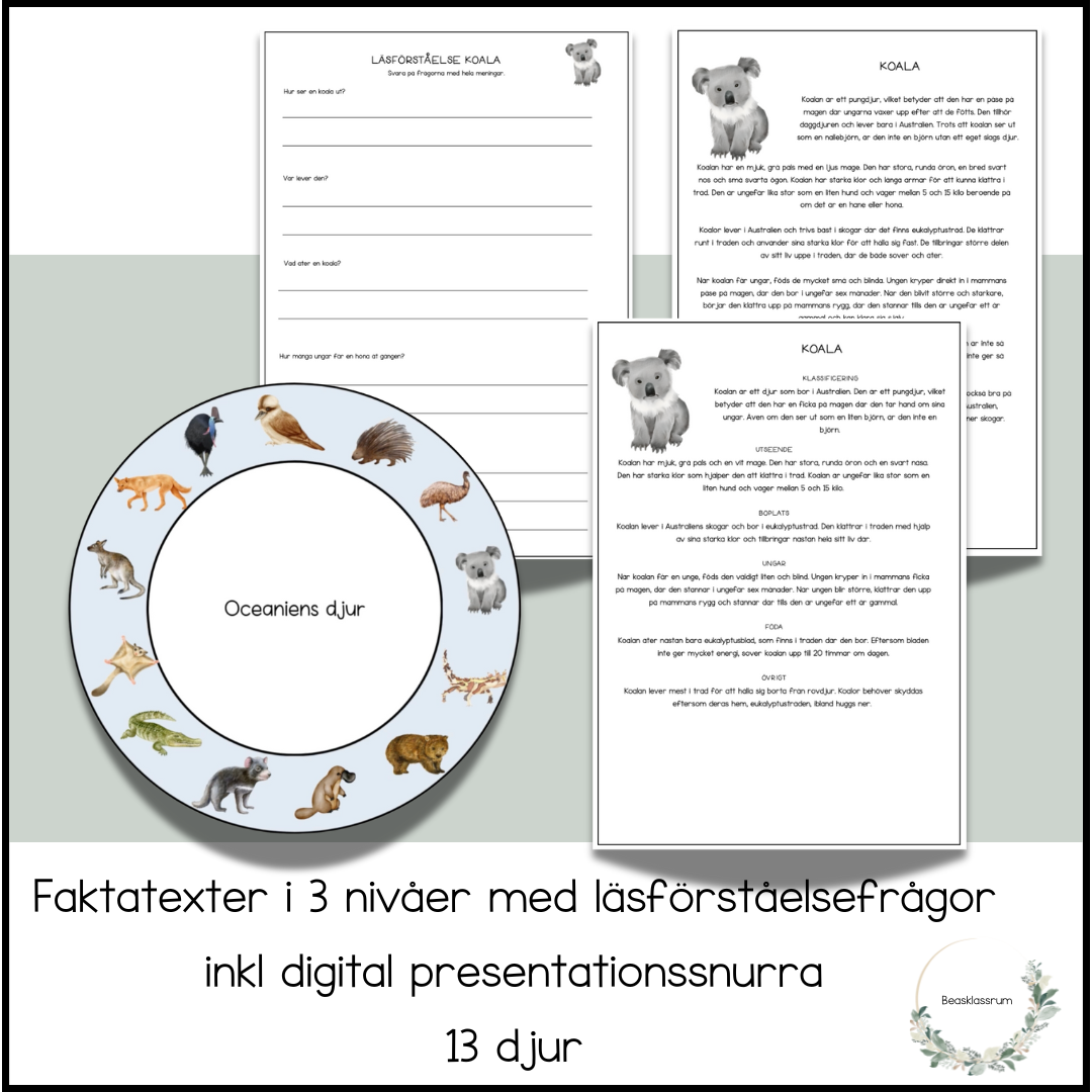 Oceaniens djur - 13 faktatexter (3 nivåer)