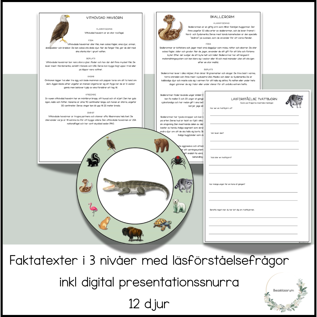 Nordamerikas djur - 12 faktatexter i 3 nivåer