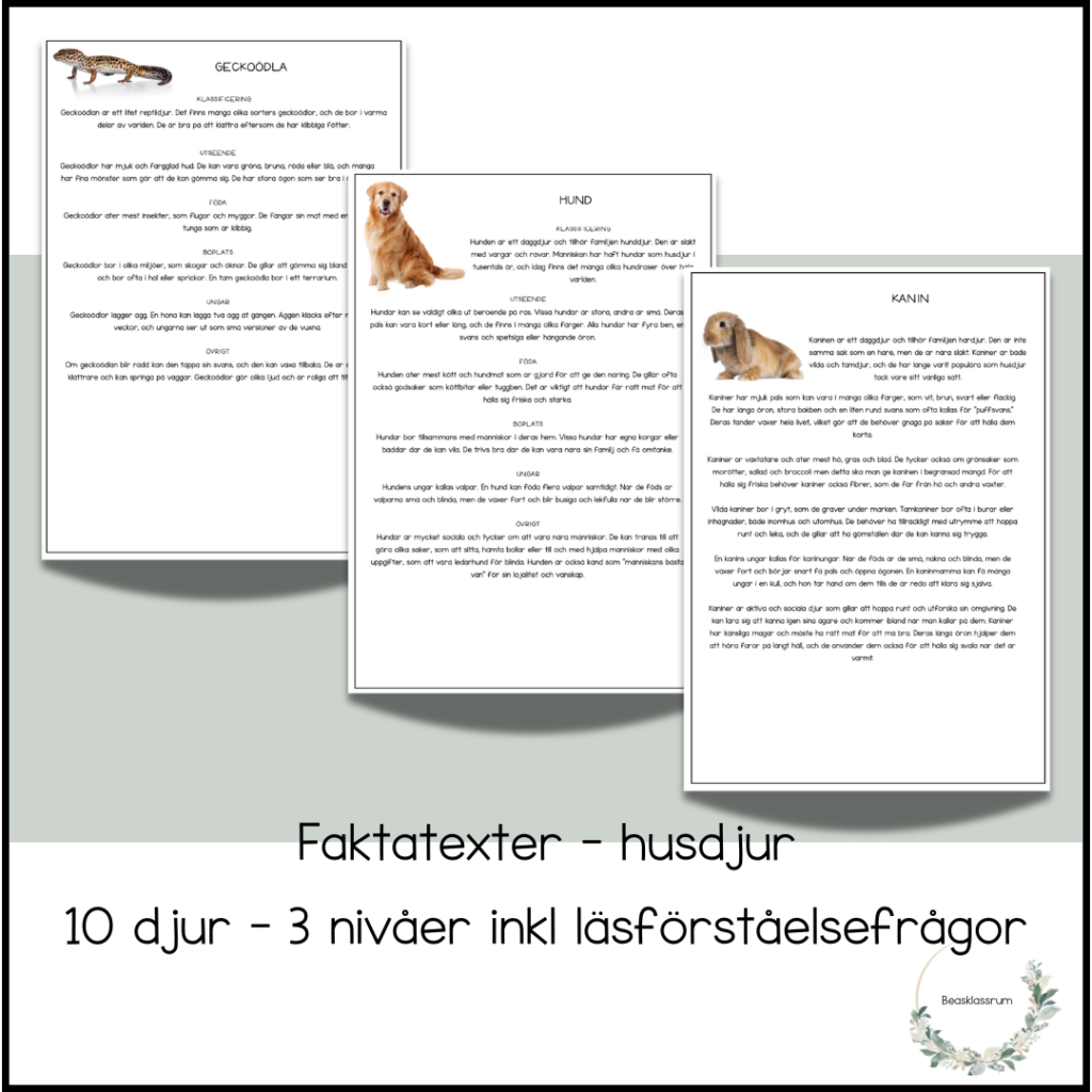 Husdjur – 10 faktatexter (3 nivåer)