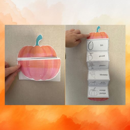Pumpans livscykel