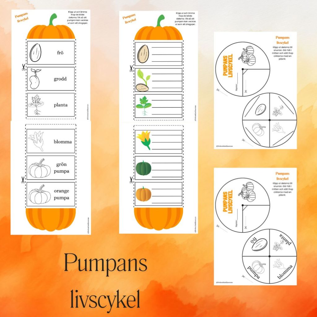 Pumpans livscykel