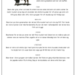 Nordamerikas djur – 12 faktatexter i 3 nivåer - bild 3