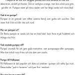 Mitt häfte om pumpan - bild 2