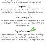 Mitt häfte om pumpan - bild 3