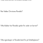 Mitt häfte om fotbollsspelare - bild 3