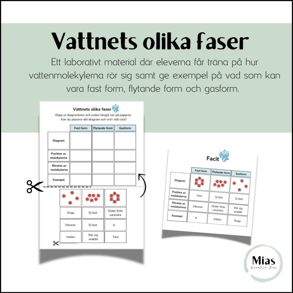 Vattnets olika faser