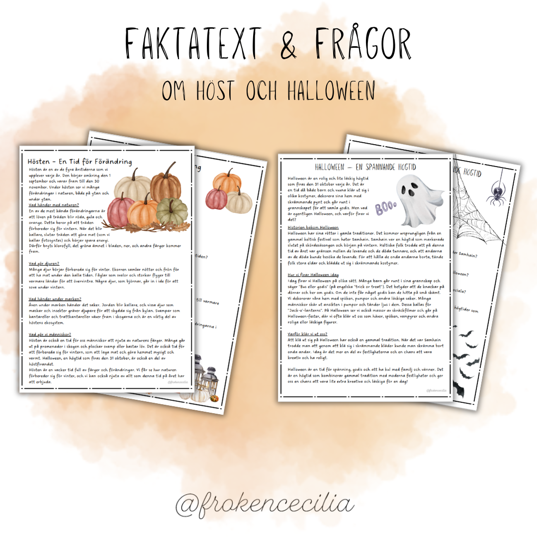 Läsförståelse- faktatext & frågor