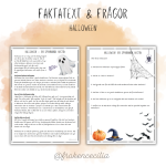 Läsförståelse- faktatext & frågor - bild 3