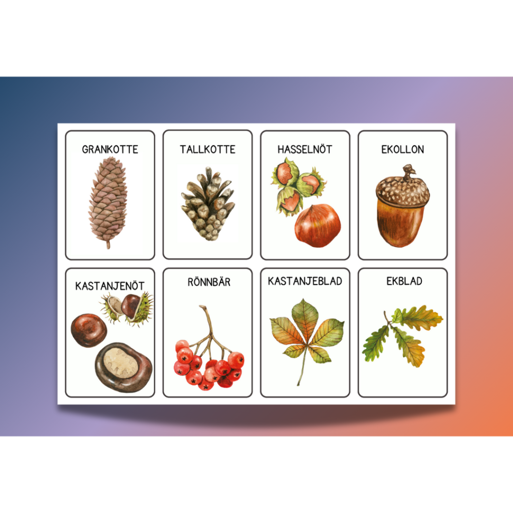 Trädmemory och mini-naturruta