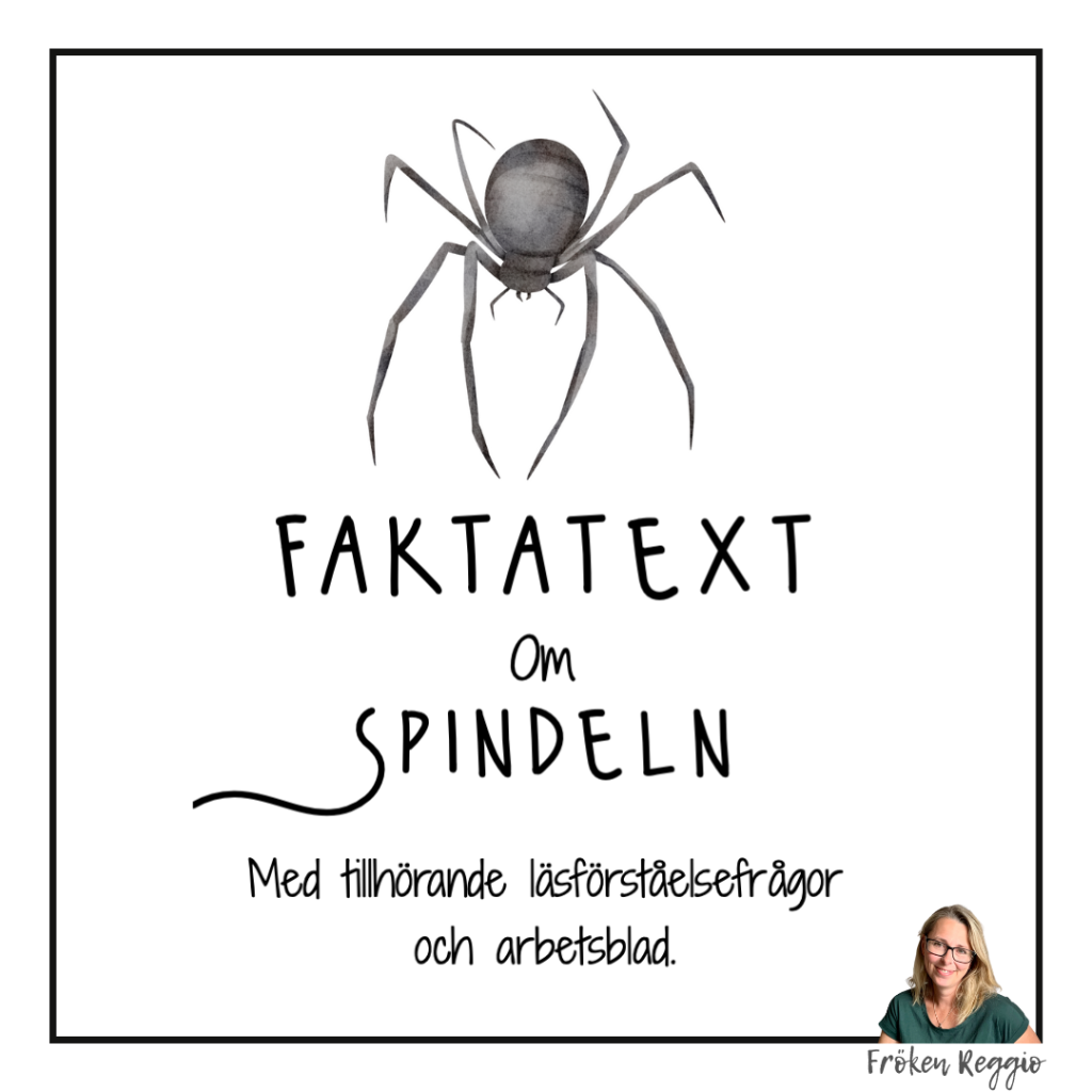 Faktatext om Spindeln